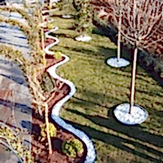 Bitkisel Peyzaj Düzenlemesi