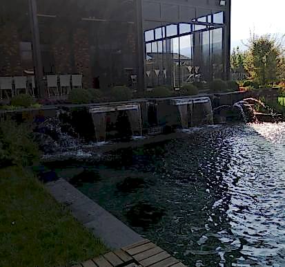 Havuz detay görüntüsü