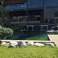 Genel Peyzaj Düzenlemesi