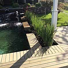 havuz ve bitki peyzaj çalışması