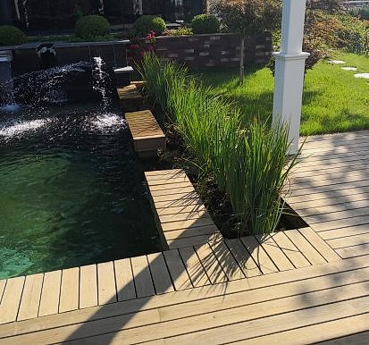 havuz ve bitki peyzaj çalışması