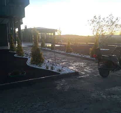 Bitkisel düzenleme çalışmamız